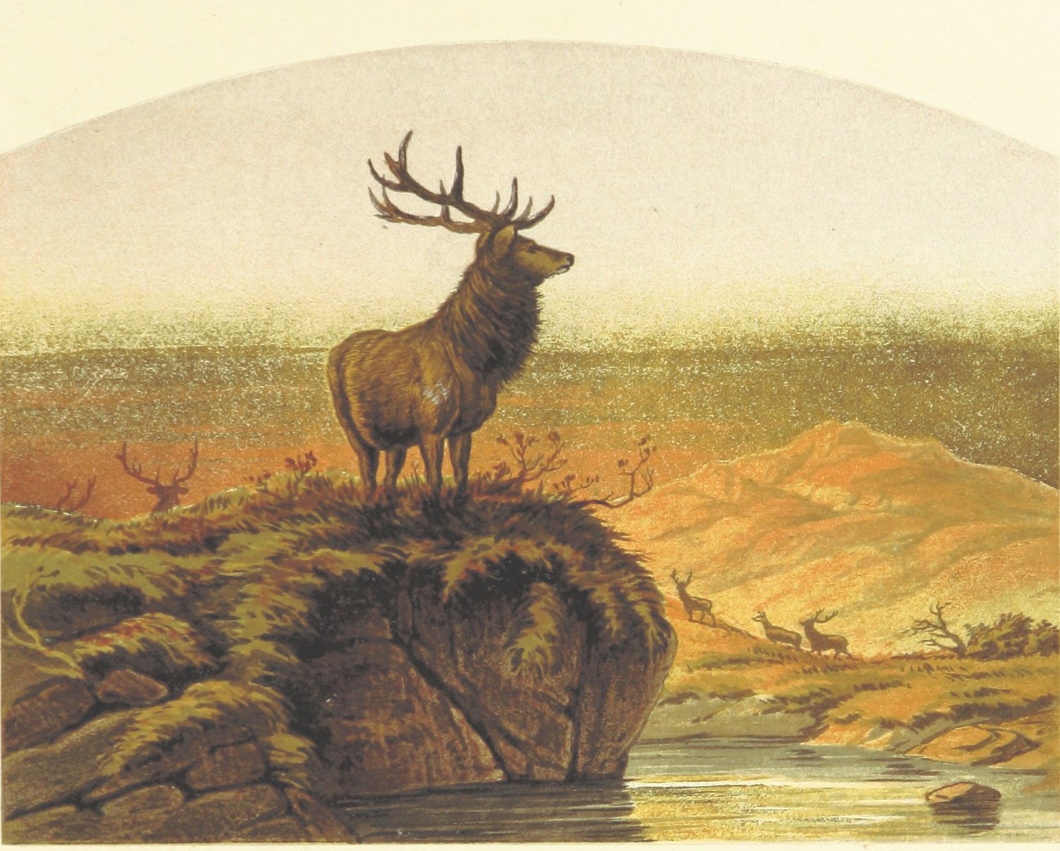 Vintage naturalist lithograph: an elk standing on a bluff above a river, ochre hills behind.